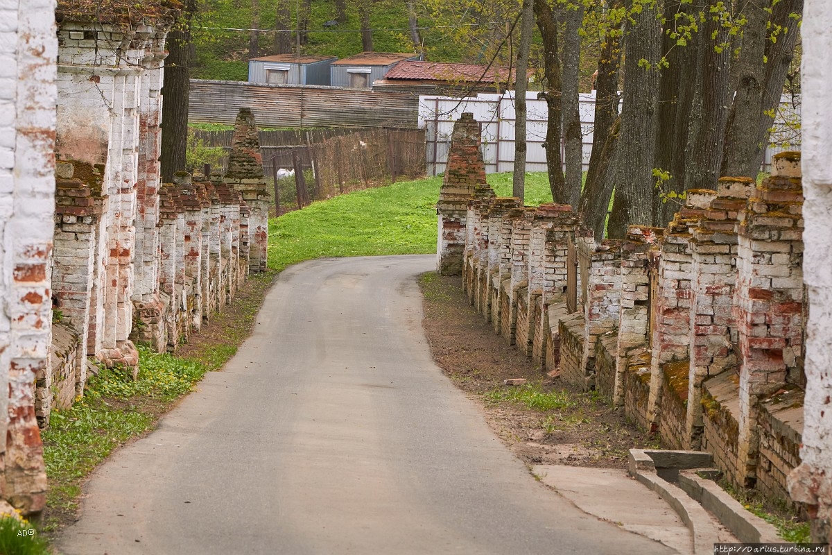 Никольское-Гагарино Руза, Россия