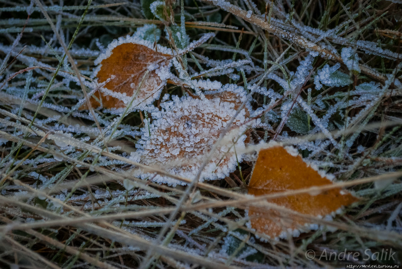 Изморозь Рига, Латвия
