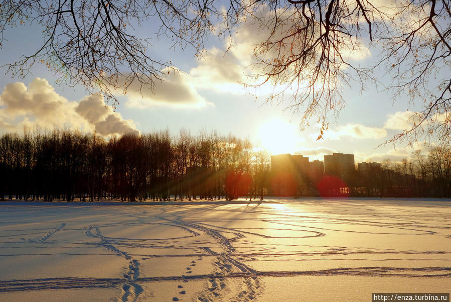 Мороз и солнце. День в Измайлово Москва, Россия