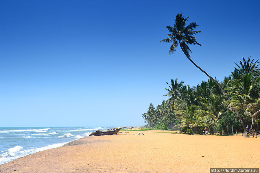 Неземное великолепие Шри-Ланки — ч.1 Бентота, Шри-Ланка