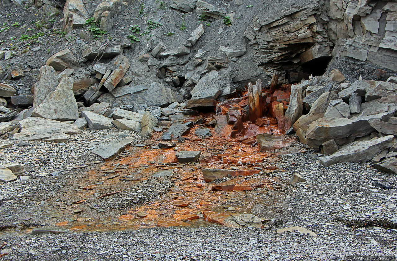 Скалы Джоггинс - прогулка в поисках ископаемых реликтов