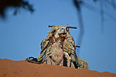 Верблюд в песчаных дюнах Эль Фаид