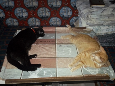 Циля и Али на яхте, дети подружились, я очень этому рад!