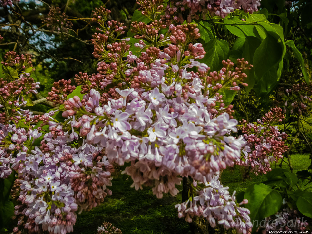 Весенние фотографии из Риги Рига, Латвия