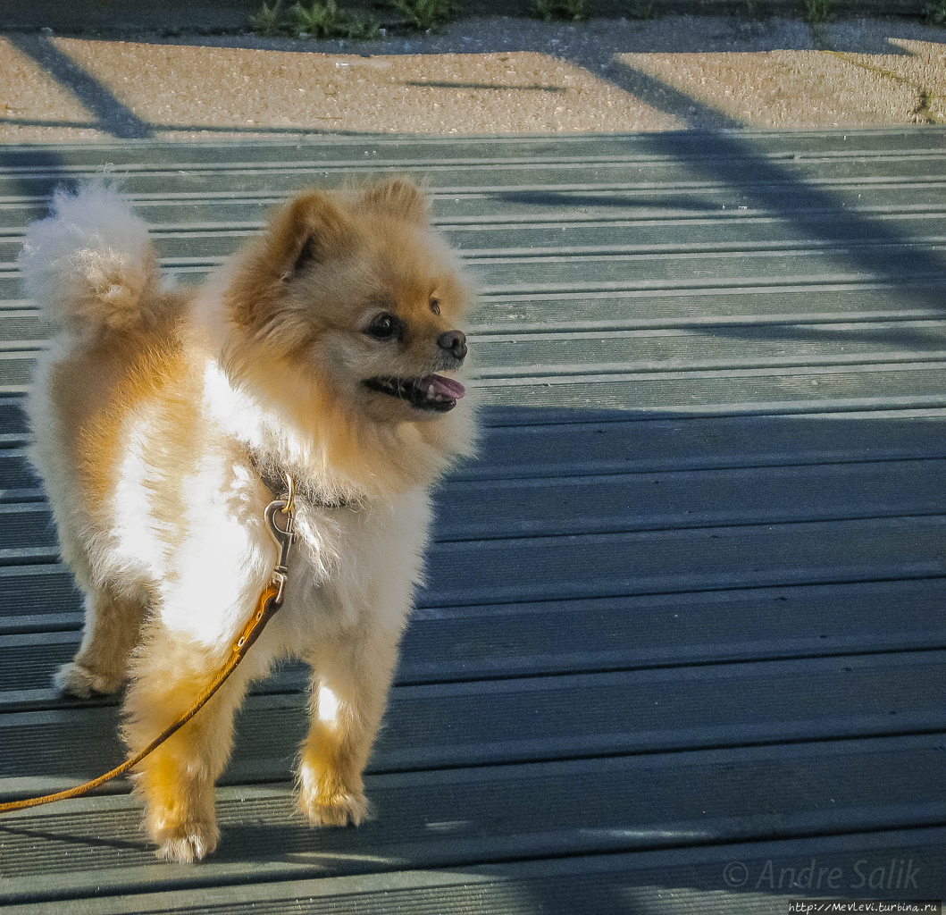 Капризный июль в Риге Рига, Латвия