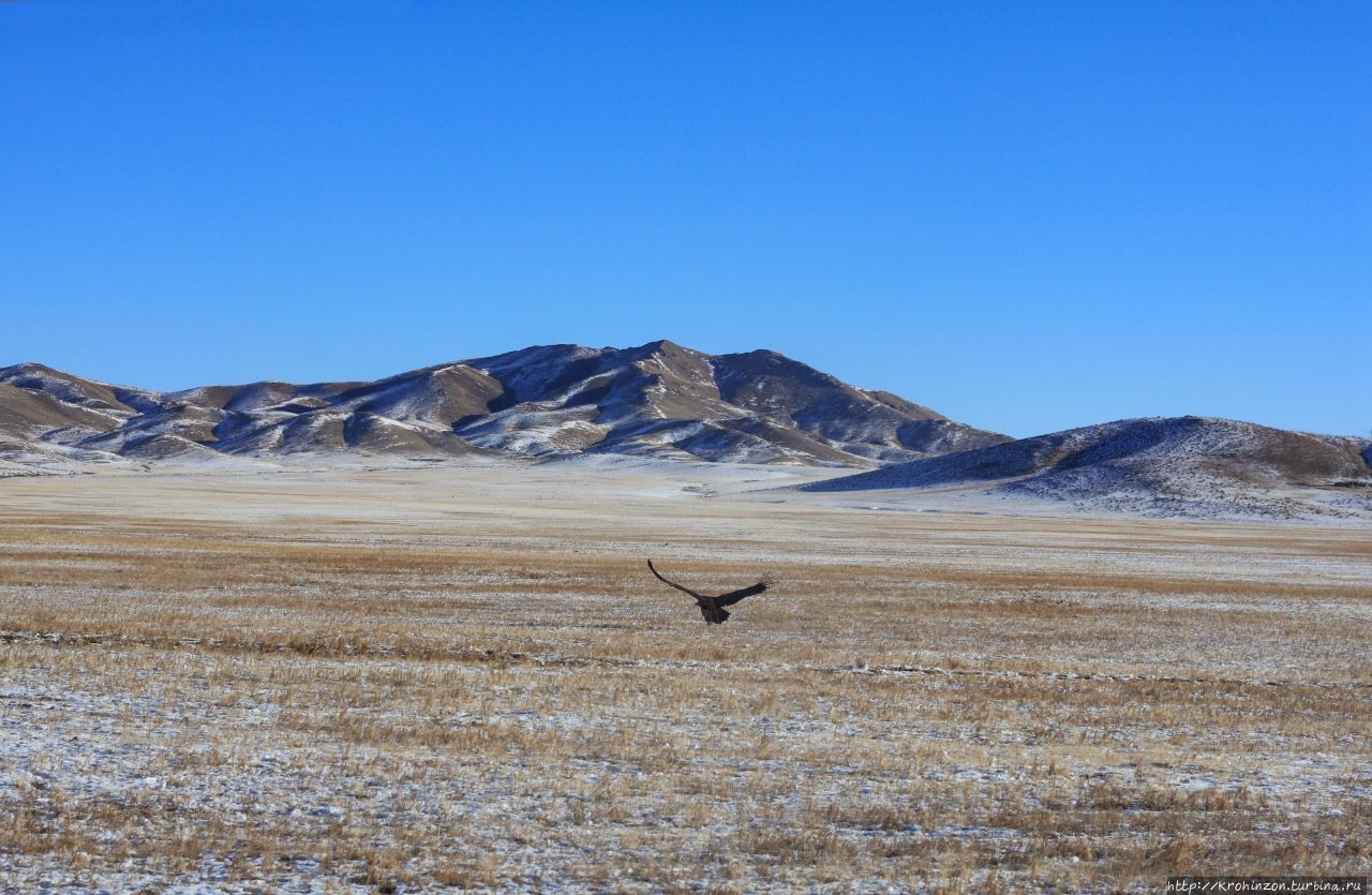 Монголия зимой. Часть вторая. Монголия