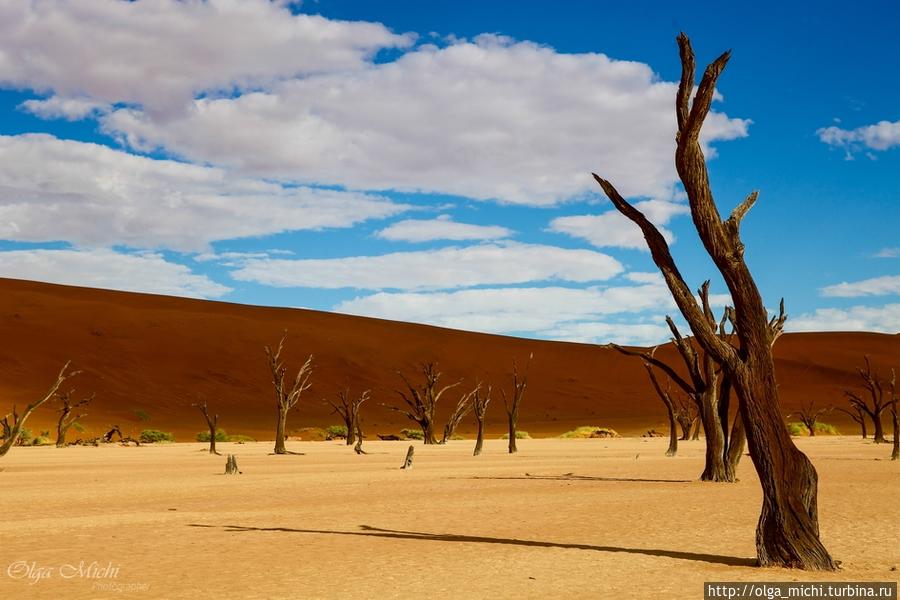 Знаменитая Мертвая долина (Deadvlei)