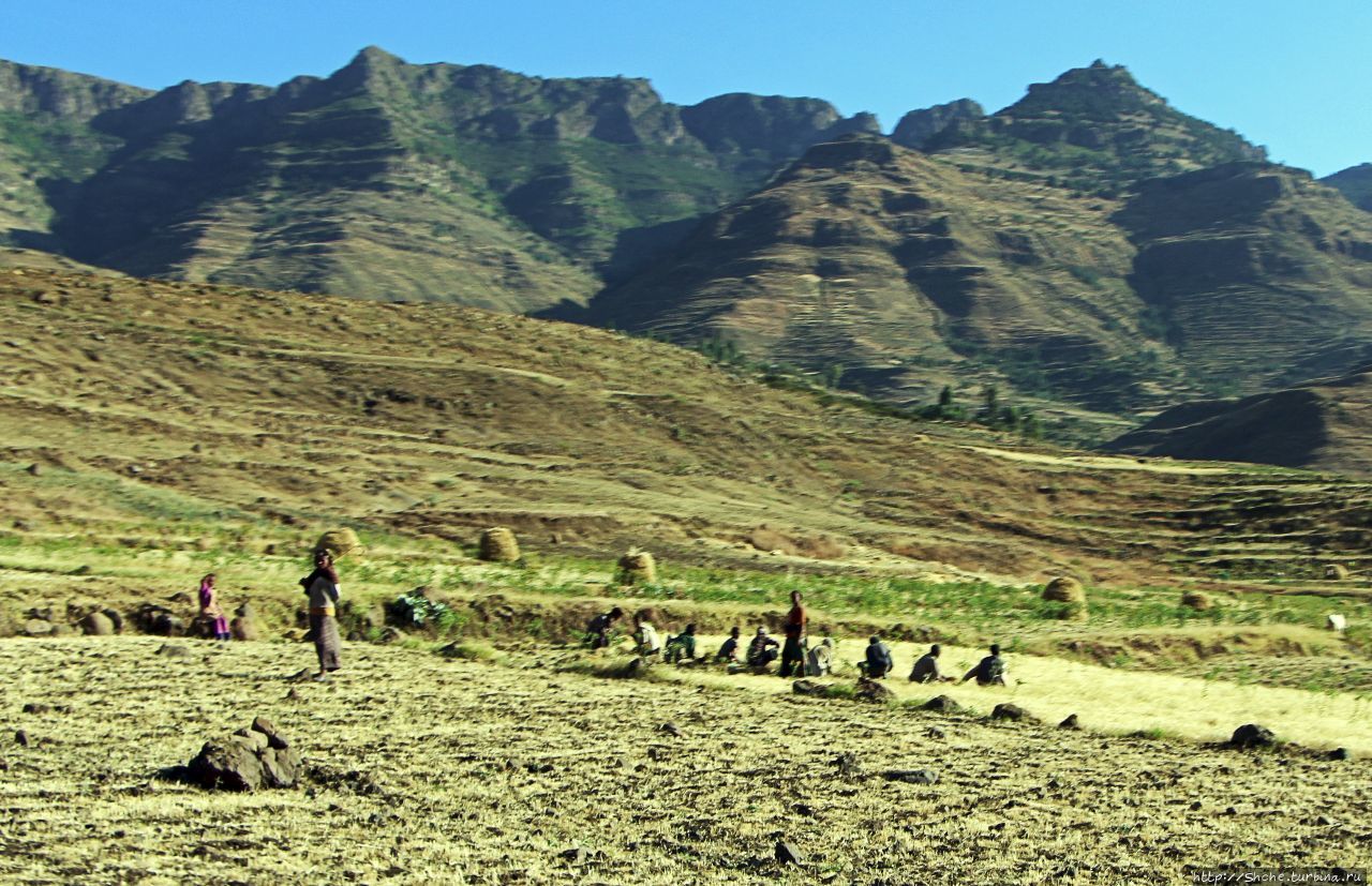 Восточная эфиопия. Амхара регион. Эфиопия, Amhara Region. Эфиопия раскопки. Эфиопия люди город.