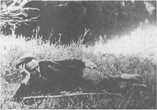 Даниил Андреев на берегу Неруссы — фотография А.П. Левенка 1932 год
