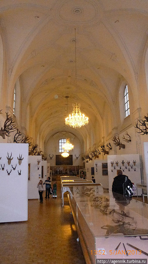 Общий вид главного зала отдела охоты Мюнхен, Германия