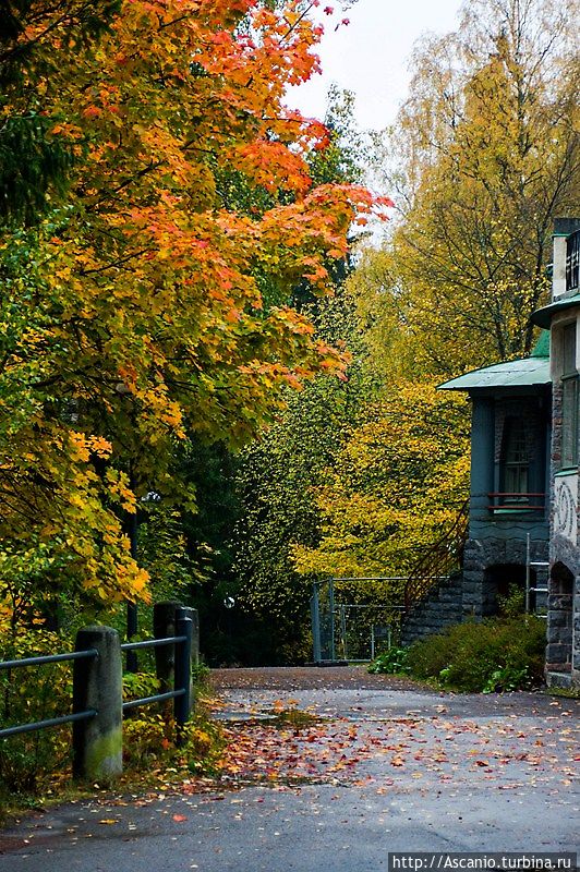 Пешком по осенней Иматре Иматра, Финляндия