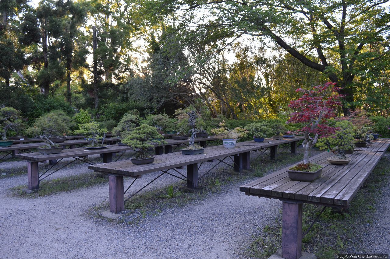 Ботанический сад Киото Киото, Япония