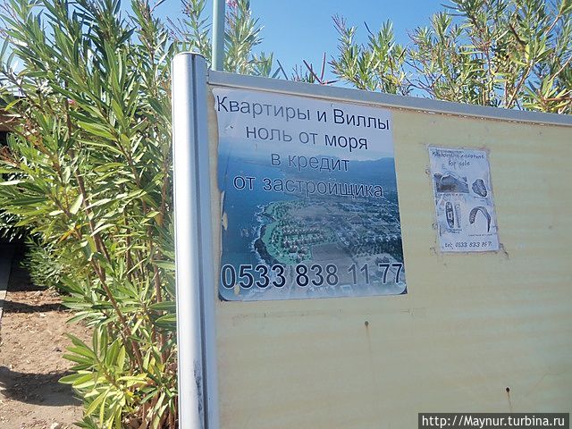 Это объявление я увидела на Черепашьем пляже. Значить здесь тусуются не только англичане. Кирения, Турецкая Республика Северного Кипра