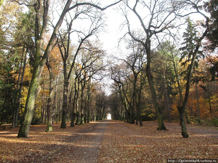 Прага в ноябре. Наша первая прогулка в парке рядом с домом Прага, Чехия