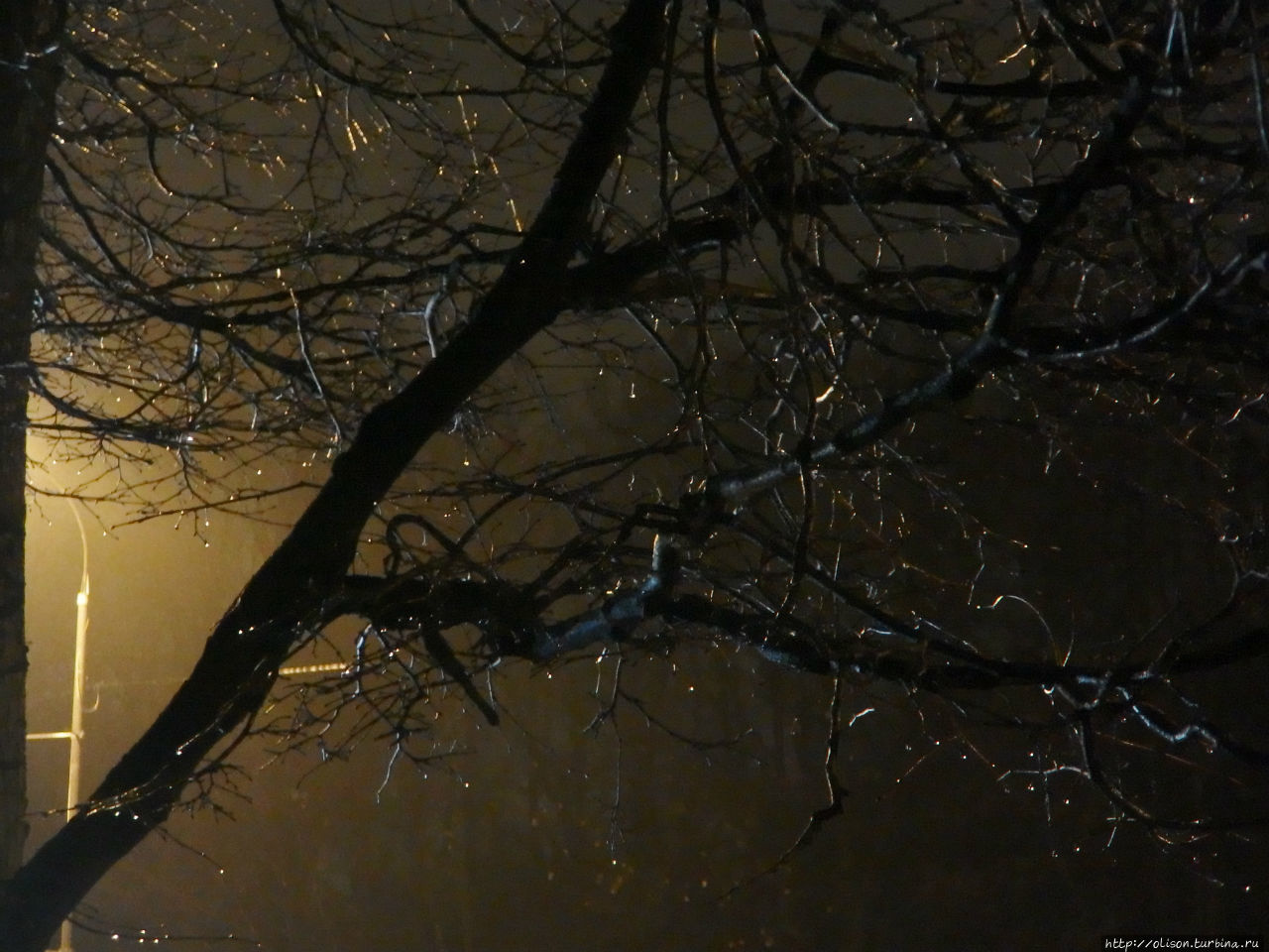 Осень в любимом городе Москва, Россия