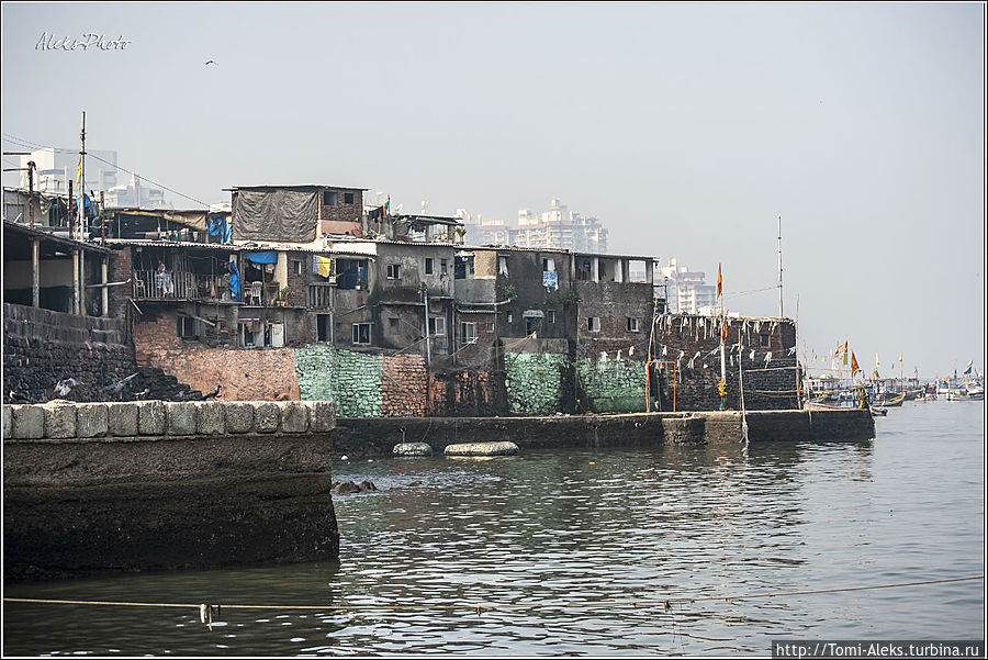 Хотя домики рыбаков веселыми не выглядят. Зато — с видом на море! Со всех сторон их уже обступили современные жилые дома...
* Мумбаи, Индия