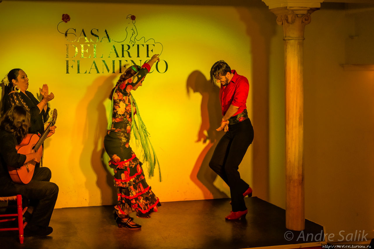 Casa del Arte Flamenco Гранада, Испания