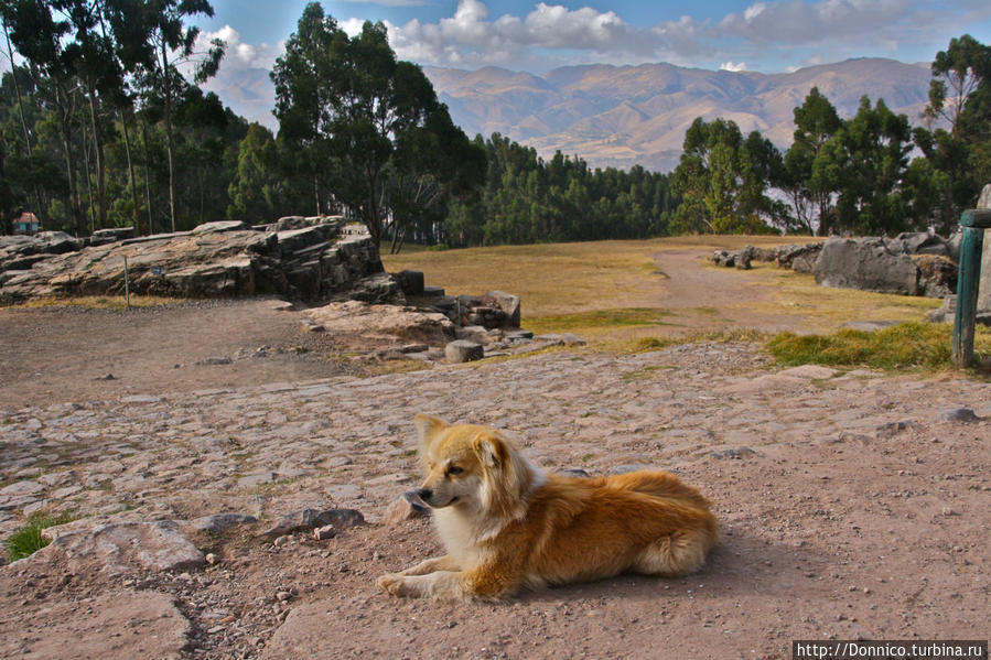 За Куско... О маршруте по Священной долине инков и не только Куско, Перу