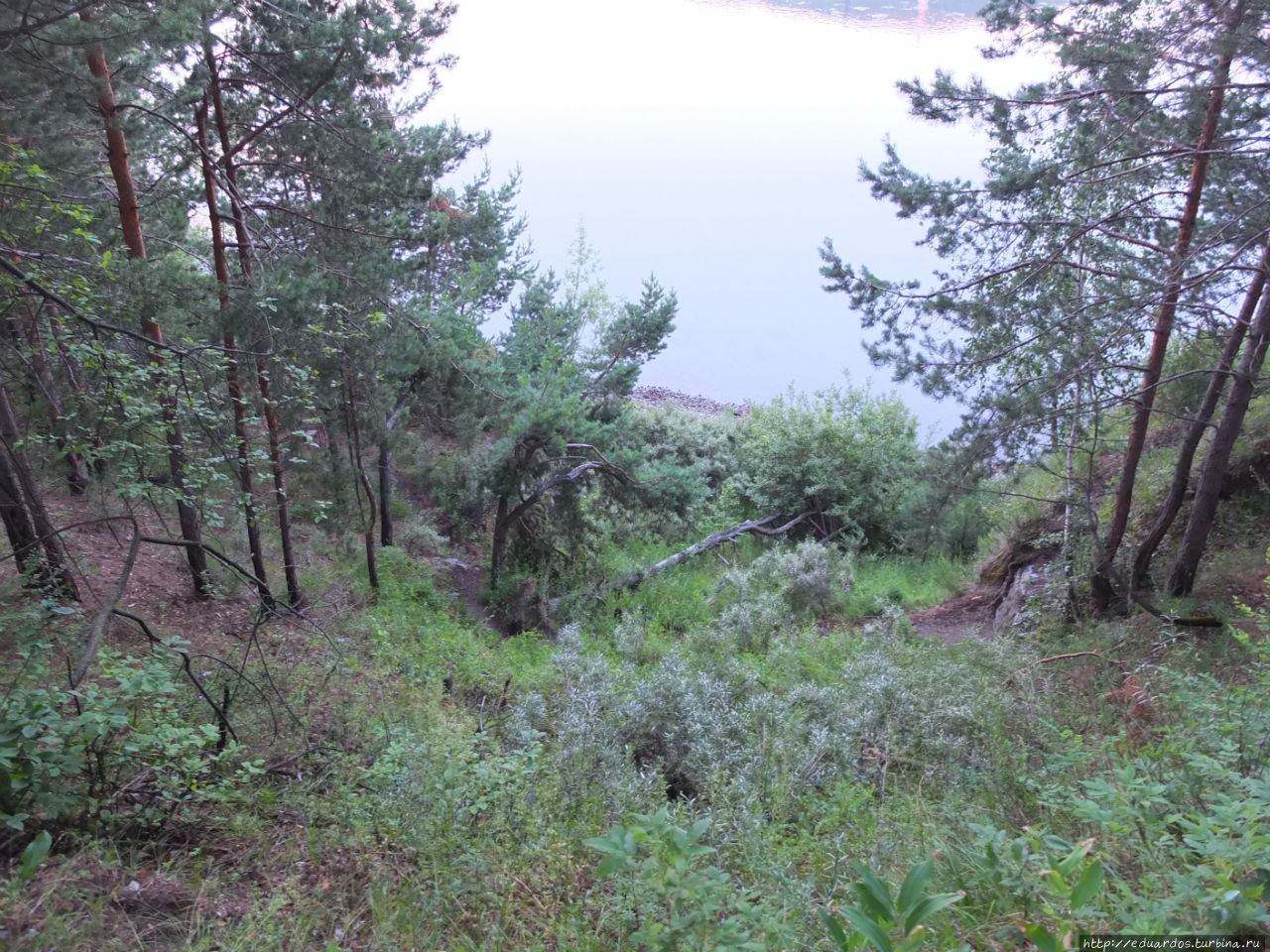 Туман над Енисеем Красноярск, Россия