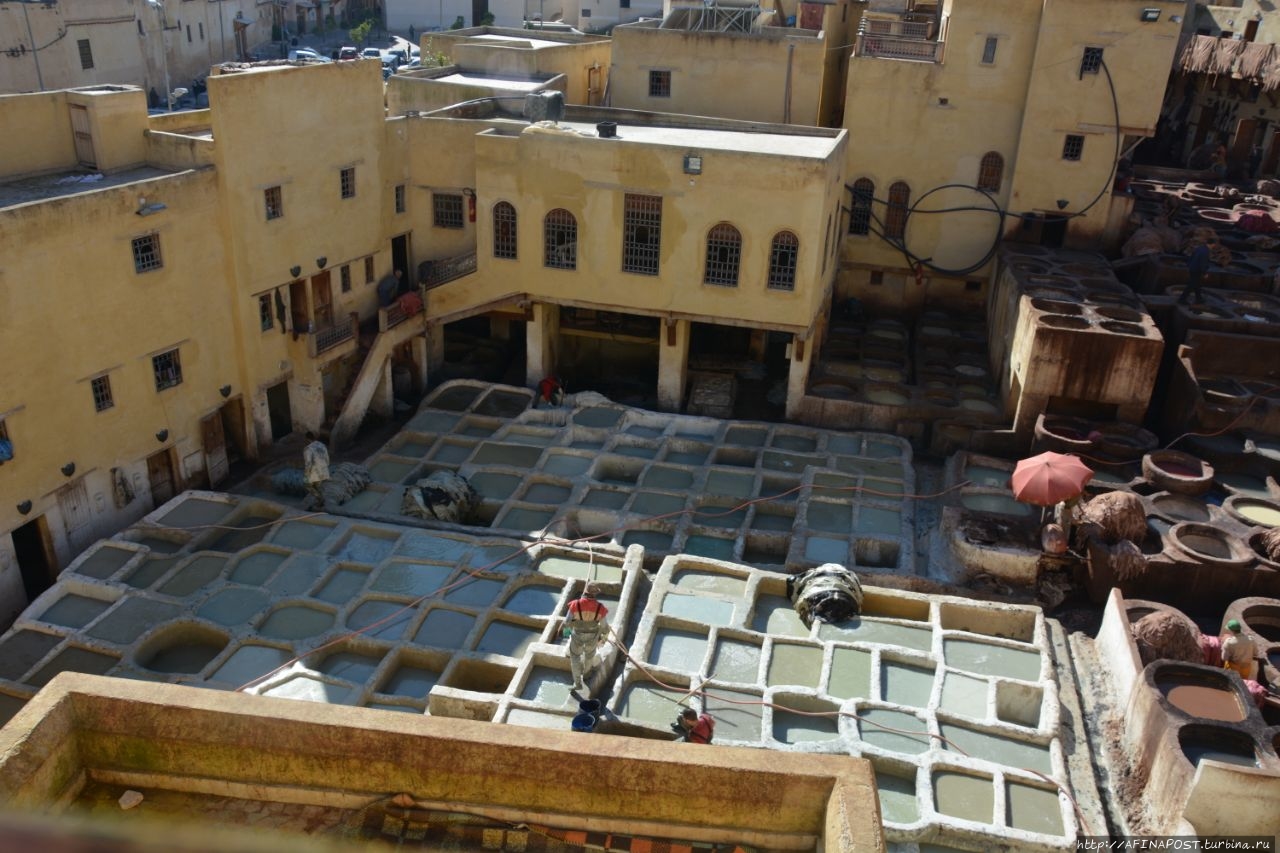 Квартал кожевенников (красильщиков) Фес, Марокко