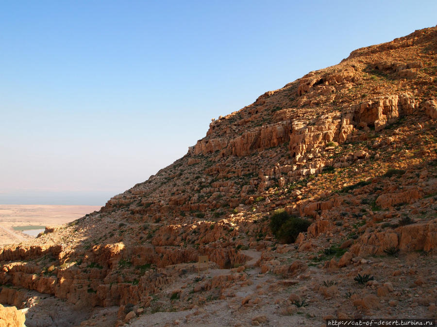 Мертвое море и пустыня Кумран, Израиль