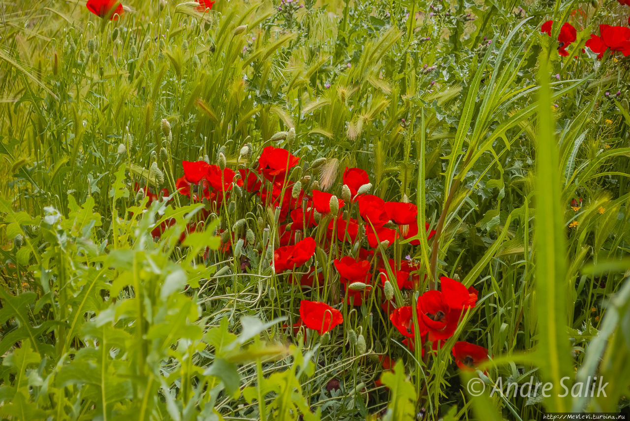 Райское местечко Керманшах, Иран