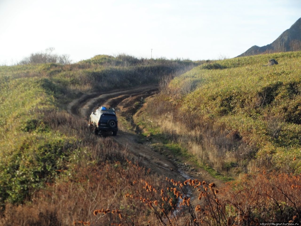 Мыс Кузнецова. Рай для животных и птиц Мыс Кузнецова, Россия Мыс Кузнецова. Рай для животных и птиц Мыс Кузнецова, Россия