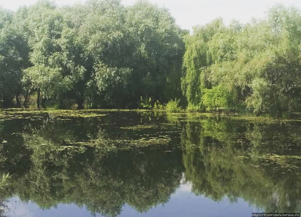 С виду Мёртвый Днестр это обычная река, только без течения Штефан-Водский район, Молдова