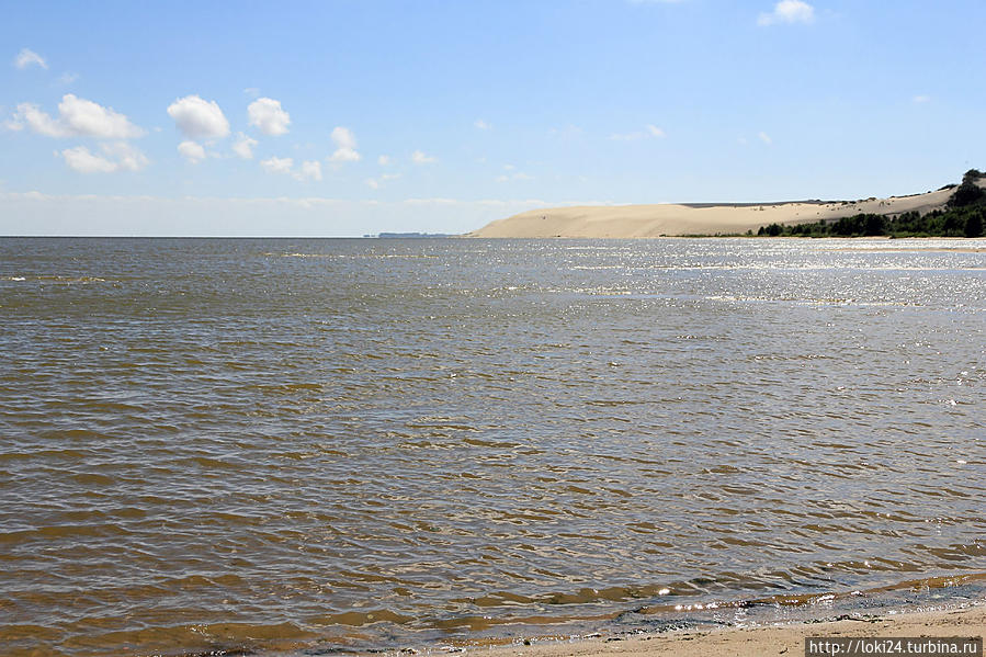 День пятый. Куршская коса. п.Морское. Высота Эфа Калининградская область, Россия