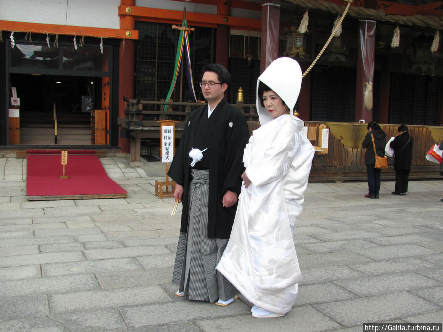 Настоящая свадьба в храме. Япония