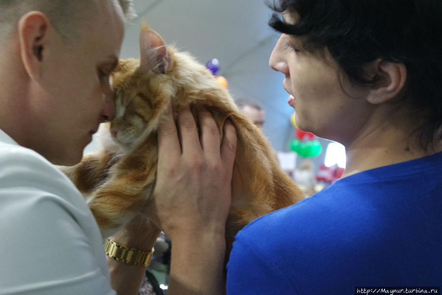 Самые  любимые... Южно-Сахалинск, Россия