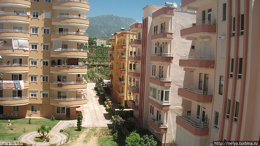 Вид на горы с нашего окна