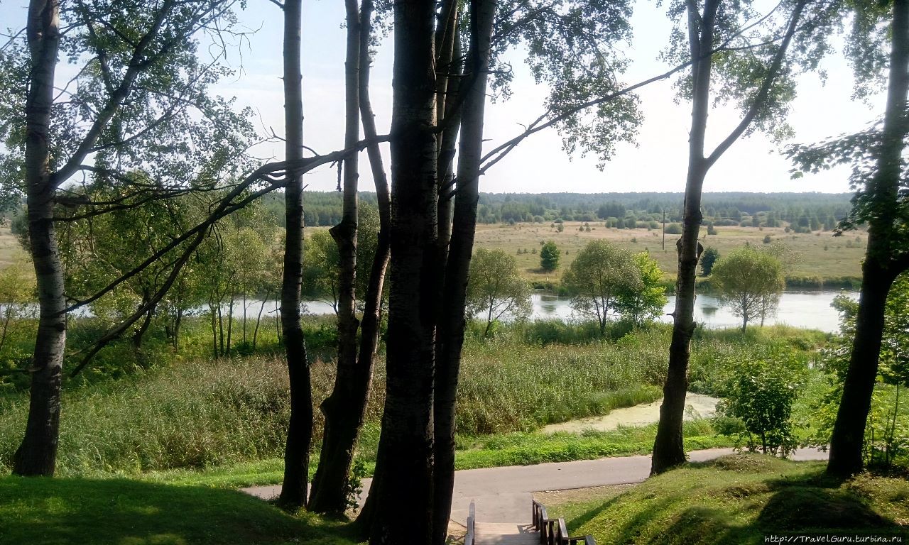 Река Вилия, протекающая через город Вилейка, Беларусь