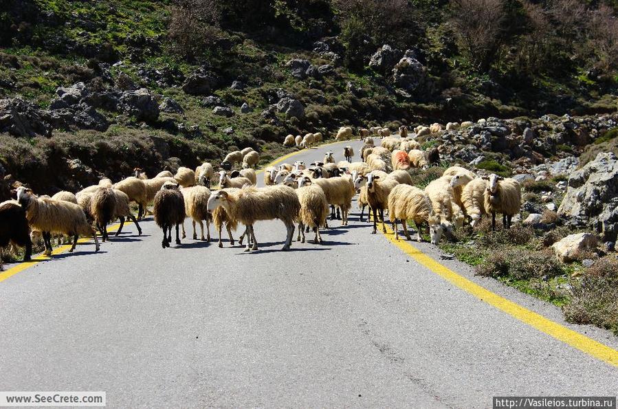 пробки на дорогах Крита Остров Крит, Греция