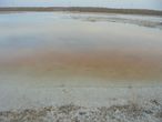 Соленые озера Кызыл — КУма