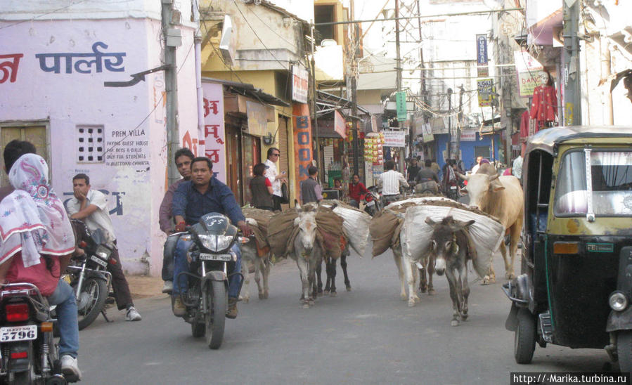 На улицах Удайпура, Раджастан, Индия Удайпур, Индия