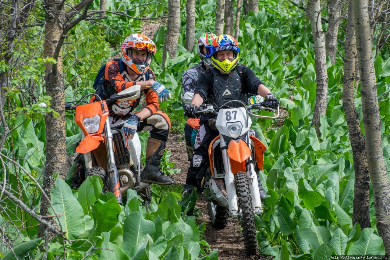 Горнолыжная база ЦСКА (бывшая база 