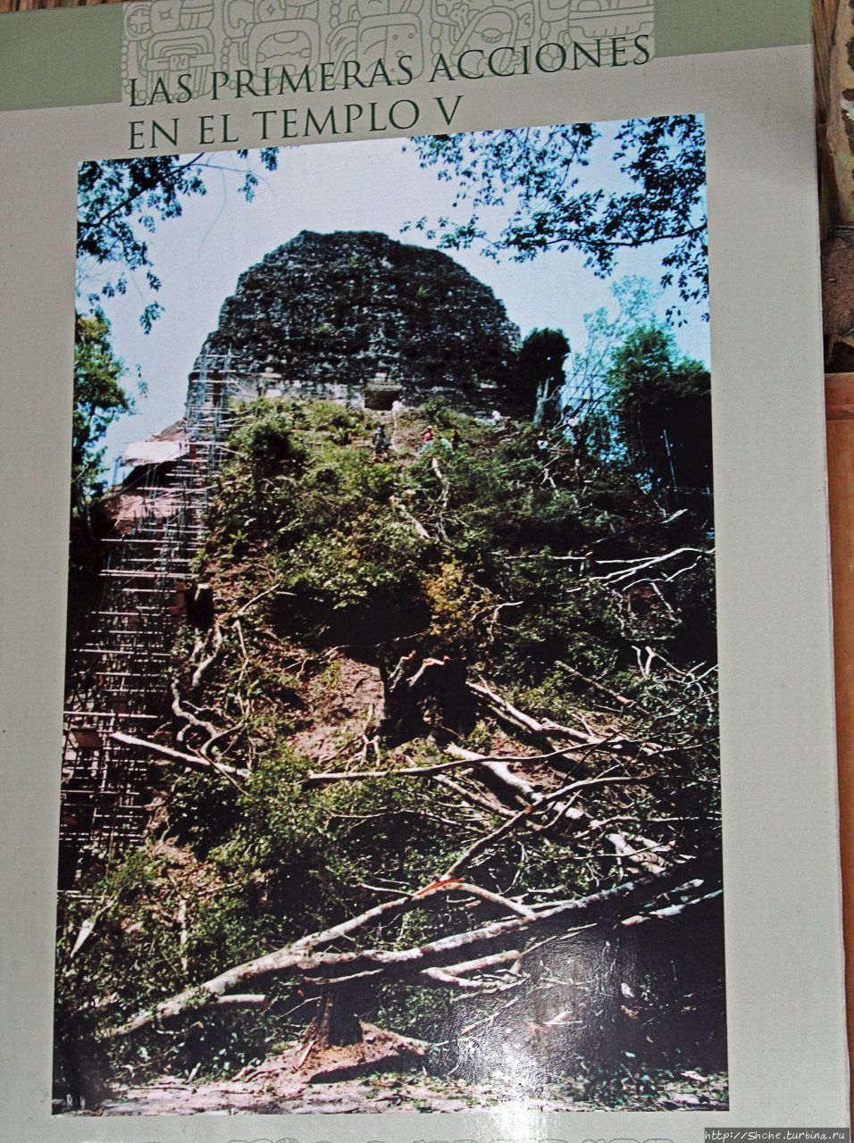 Храм V Тикаль Национальный Парк, Гватемала