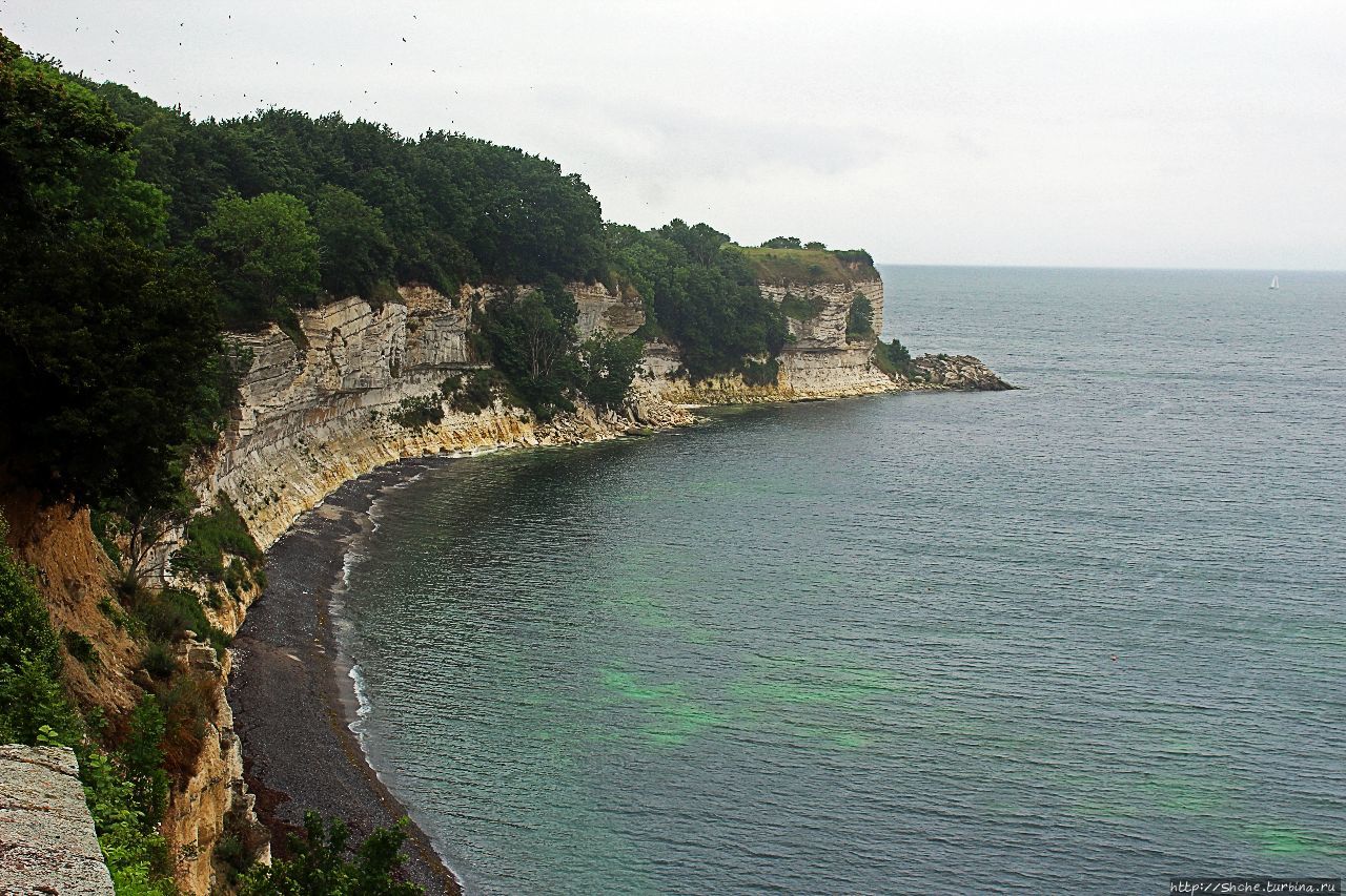 Стевнс Клинт / Stevns Klint