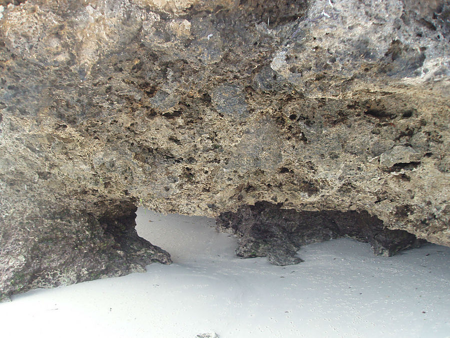 Занзибар. Вдоль океана Занзибар, Танзания