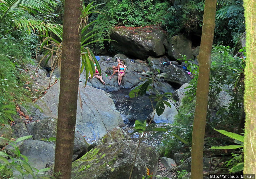 Водопад Ла Мина — хоть искупаться, хоть поглазеть Эль Юнке Национальный Лес, Пуэрто-Рико