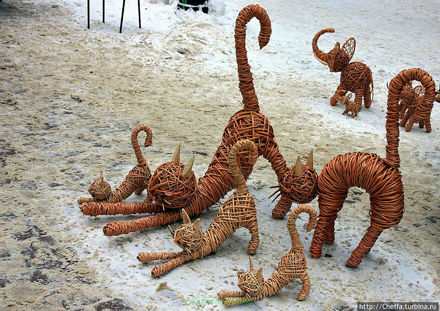 Кошка — самый главный зверь!