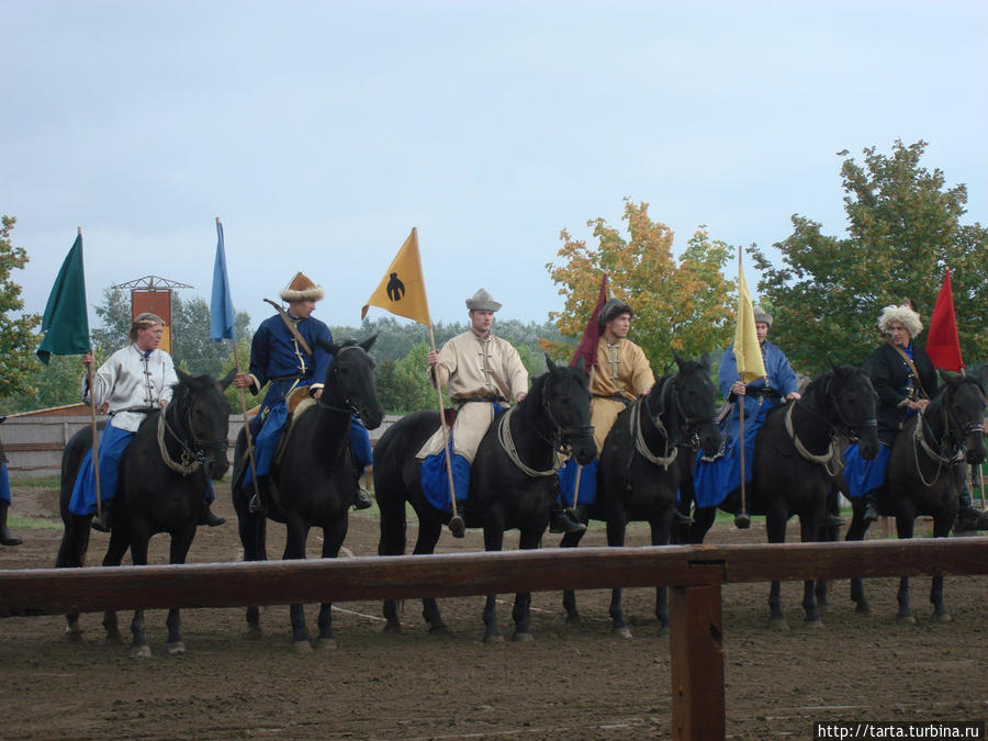 Участники конного шоу