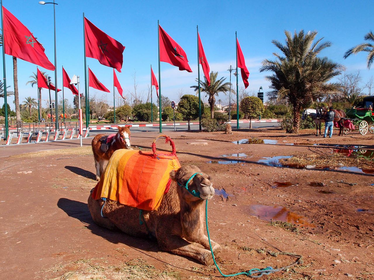 Джемаа эль-Фна. И пир, и мир, и «добры» люди Марракеш, Марокко