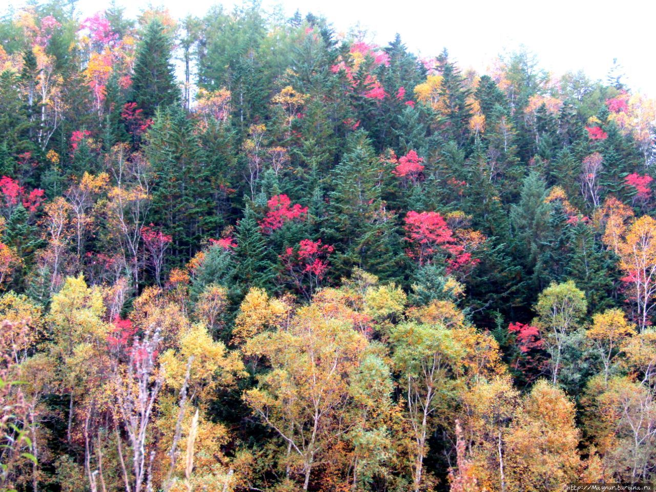 Осенние этюды Долинск, Россия Осенние этюды Долинск, Россия