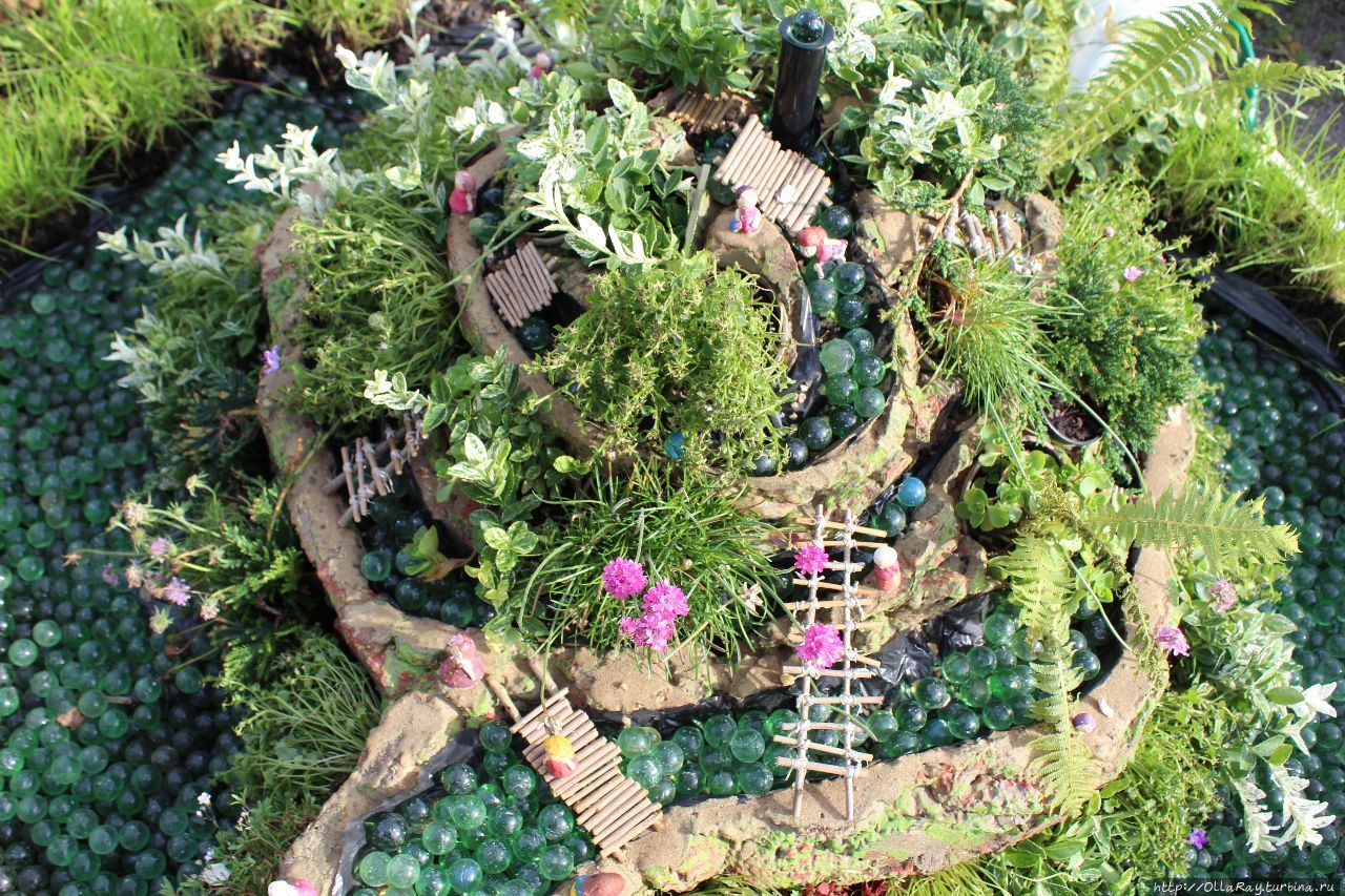 Moscow Flower Show 2017. Фотоотчёт и впечатления. Москва, Россия