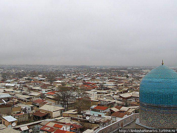 Вид на частный сектор с одного из минаретов Регистана. Узбекистан