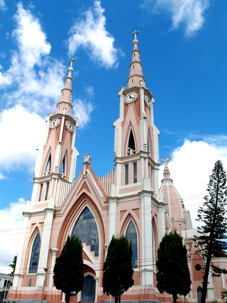 Кафедральный собор Фредерику-Вестфален, Бразилия