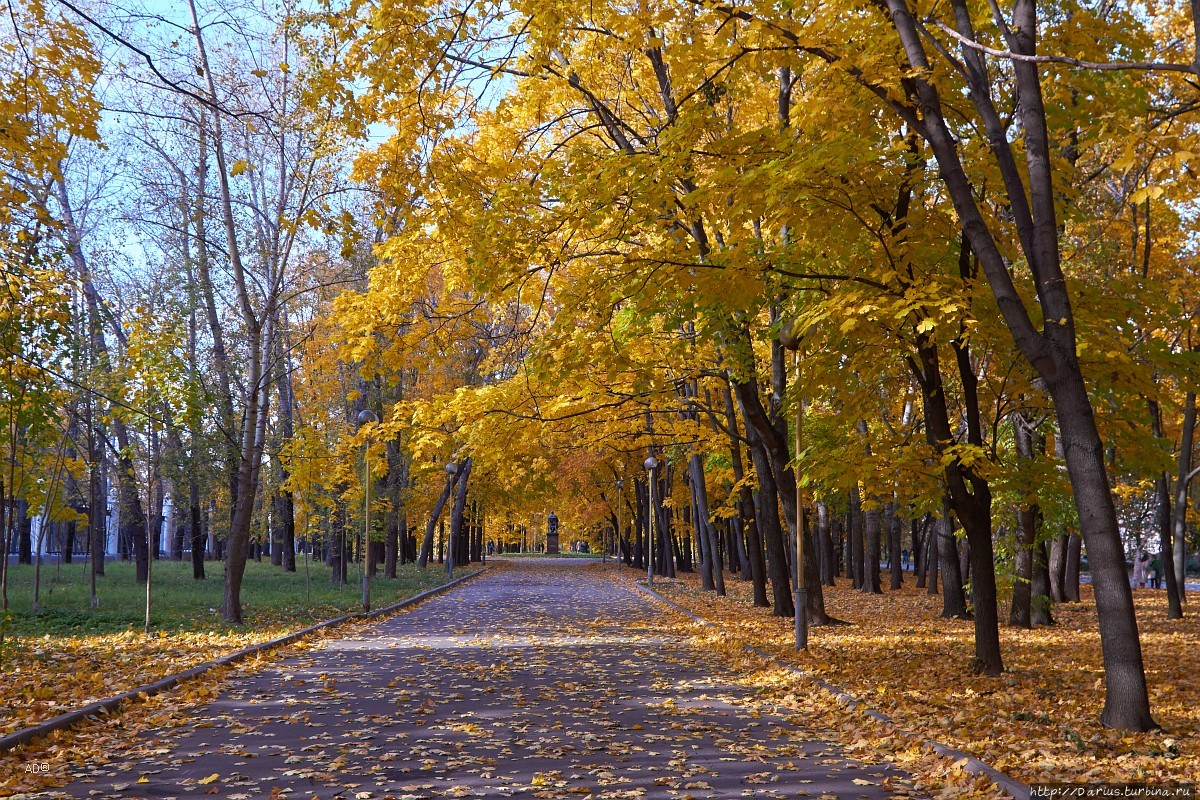 Осенние московские мотивы Москва, Россия