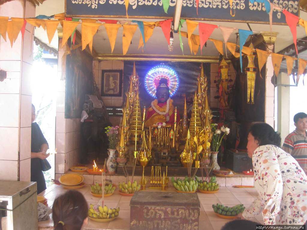 Фото из интернета